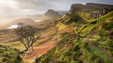 Glimmend setzt die Sonne die Isle of Skye in Szene: Goldenen Schimmer breitet sie über Quiraing, die berühmte Felswelt im Norden der ­schottischen Insel. Gewaltige Erdrutsche legten hier einst die bizarren Formationen aus Basaltgestein frei, Wind und Regen meißelten deren Konturen. Wer zwischen ihnen wandert, bewegt sich gleichsam durch ein Gemälde: rau und romantisch, kraftvoll und lieblich zugleich