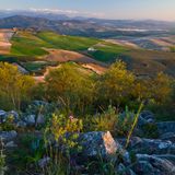 Blick über den Nationalpark mit seinen Hügeln und Feldern