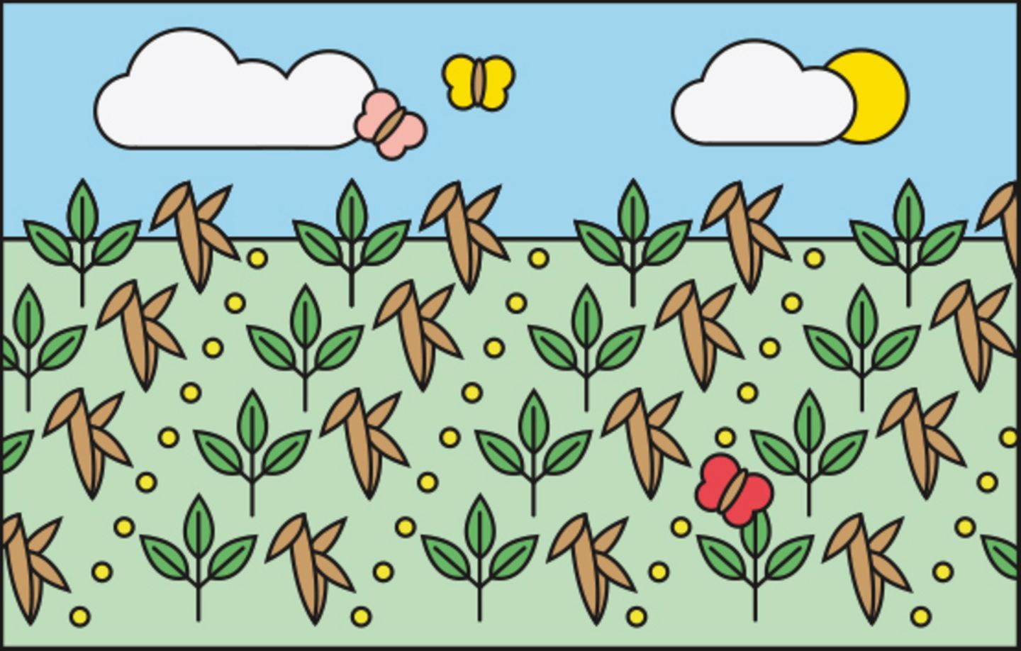 Direktsaat Direktsaat