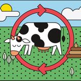 Regenerative Landwirtschaft