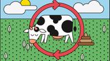 Regenerative Landwirtschaft