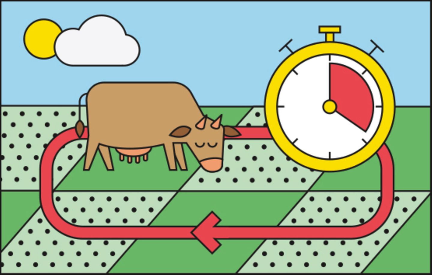 Mob Grazing Mob Grazing