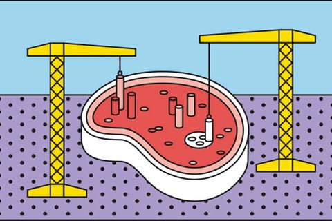 Fake-Fleisch Fake-Fleisch