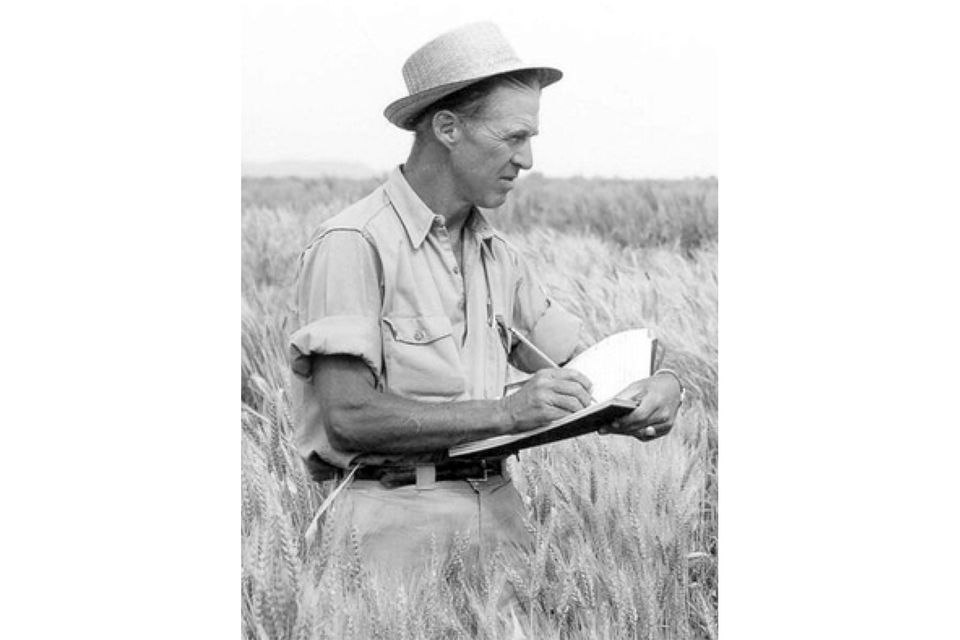 Norman Borlaug