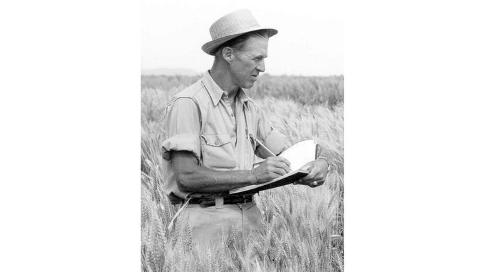 Norman Borlaug Norman Borlaug
