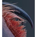 Giftzahn einer Tarantel