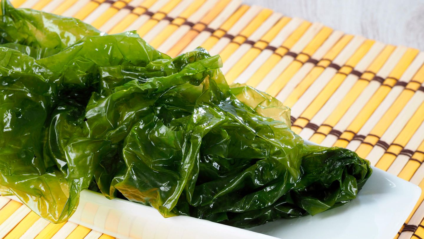 Der Meersalat Ulva lactuca enthält viel Vitamin C, Proteine, Eisen und Jod