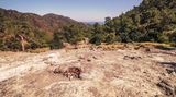 Blick auf ein steiniges Feld mit Natur und Strand im Hintergrund