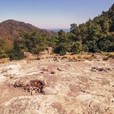 Blick auf ein steiniges Feld mit Natur und Strand im Hintergrund