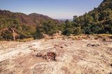 Blick auf ein steiniges Feld mit Natur und Strand im Hintergrund