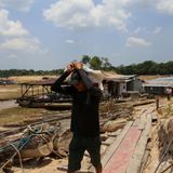 Das Ergebnis: Erreicht die Entwaldung einen bestimmten Schwellenwert, könnten die Niederschläge in der Region innerhalb weniger Jahre oder Jahrzehnte um bis zu 50 Prozent zurückgehen. Der genaue Schwellenwert ist nicht definiert, doch er könnte nah sein. Denn kurz vor Erreichen der Schwelle nimmt laut Modell die Bodenfeuchtigkeit ab und die Regenzeit verzögert sich. Und die realen Wetterdaten zeigen: Das ist bereits der Fall.