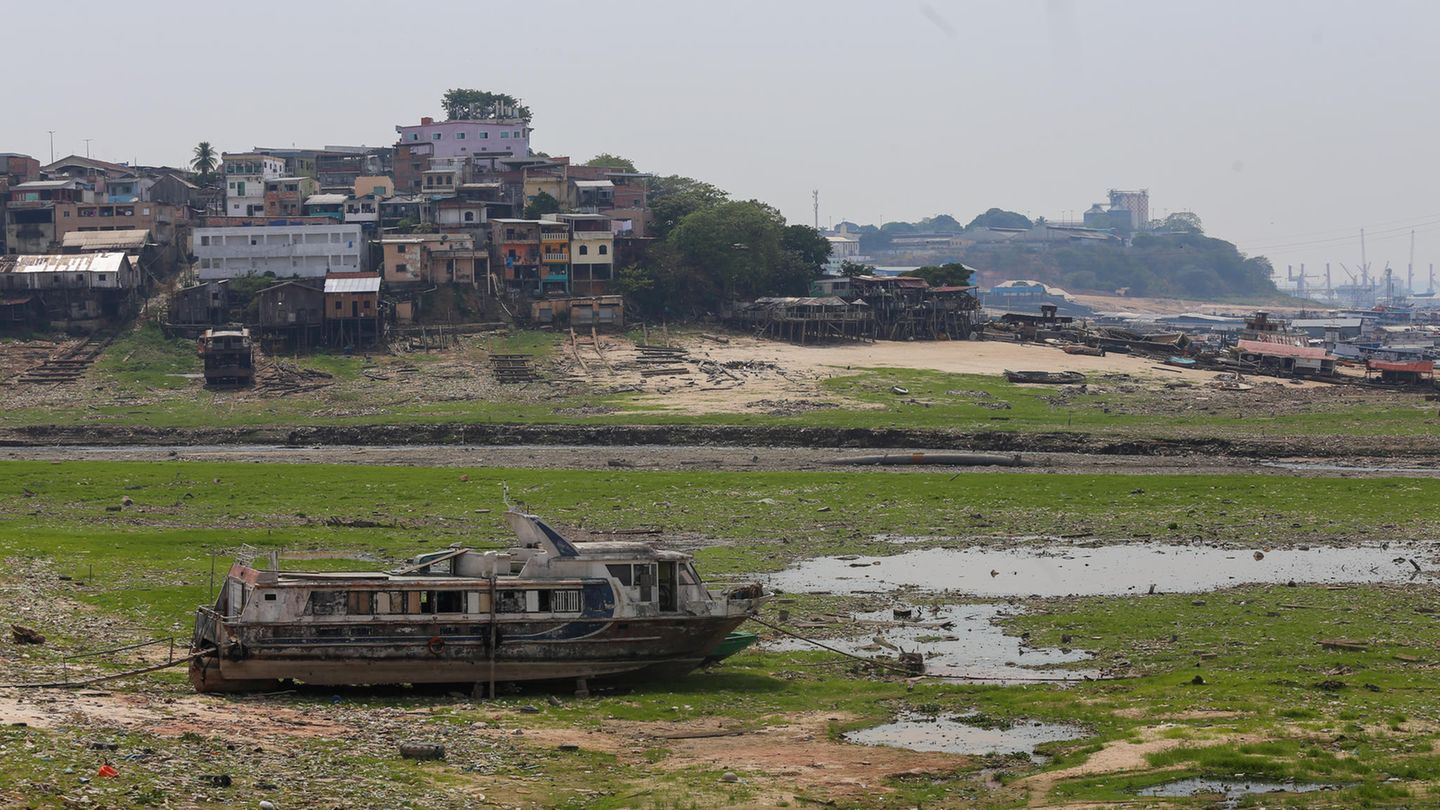 Der Negro, zweitgrößter Nebenfluss des Amazonas, hat den niedrigsten Pegelstand seit Beginn der Messungen vor 121 Jahren erreicht: Im Hafen der Millionenstadt Manaus sank der Wasserstand am Montagmorgen auf ein historisches Tief von 13,5 Metern. Seitdem sinkt der Pegel weiter, im Schnitt um 13 Zentimeter pro Tag. Teile des Hafens liegen komplett trocken, Schiffe sind im Hafenbecken gestrandet. Die Situation in Manaus ist keine Ausnahme: 55 der 62 Gemeinden im Bundesstaat Amazonas sind von der Dürre betroffen und befinden sich im Ausnahmezustand.
