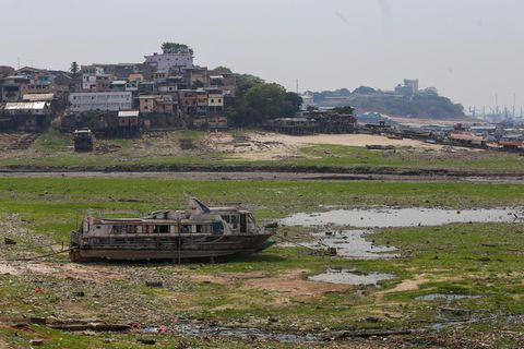 Der Negro, zweitgrößter Nebenfluss des Amazonas, hat den niedrigsten Pegelstand seit Beginn der Messungen vor 121 Jahren erreicht: Im Hafen der Millionenstadt Manaus sank der Wasserstand am Montagmorgen auf ein historisches Tief von 13,5 Metern. Seitdem sinkt der Pegel weiter, im Schnitt um 13 Zentimeter pro Tag. Teile des Hafens liegen komplett trocken, Schiffe sind im Hafenbecken gestrandet. Die Situation in Manaus ist keine Ausnahme: 55 der 62 Gemeinden im Bundesstaat Amazonas sind von der Dürre betroffen und befinden sich im Ausnahmezustand.