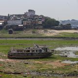 Der Negro, zweitgrößter Nebenfluss des Amazonas, hat den niedrigsten Pegelstand seit Beginn der Messungen vor 121 Jahren erreicht: Im Hafen der Millionenstadt Manaus sank der Wasserstand am Montagmorgen auf ein historisches Tief von 13,5 Metern. Seitdem sinkt der Pegel weiter, im Schnitt um 13 Zentimeter pro Tag. Teile des Hafens liegen komplett trocken, Schiffe sind im Hafenbecken gestrandet. Die Situation in Manaus ist keine Ausnahme: 55 der 62 Gemeinden im Bundesstaat Amazonas sind von der Dürre betroffen und befinden sich im Ausnahmezustand.