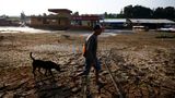 Was auf die Region zukommen könnte, zeigt eine kürzlich in der Fachzeitschrift "Science Advances" veröffentlichte Studie. Dürre und Entwaldung des Amazonas-Regenwaldes treiben sich gegenseitig an - und das System steht den neuen Berechnungen zufolge vor einem kritischen Übergang. Denn dass es im Amazonasgebiet immer weniger regnet, ist unter anderem eine Folge der jahrzehntelangen Abholzung und Brandrodung des Waldes: Weil bereits rund 20 Prozent des Amazonas abgeholzt sind, gibt es weniger Bäume, die mit ihren Wurzeln Niederschläge und Grundwasser aufnehmen und über die Blätter als Wasserdampf wieder abgeben. Dadurch kann weniger Wasserdampf zu Wolken kondensieren und sich schließlich wieder abregnen. Mit dem Ausbleiben der Niederschläge vertrocknen jedoch immer mehr der verbliebenen Bäume, und mit Überschreiten eines kritischen Schwellenwerts der Entwaldung verwandeln sich große Teile des feuchten Regenwaldes in eine trockene Savanne. Die toten Bäume fallen dann nicht nur als Wasserpumpen aus, sondern setzen auch Kohlenstoff frei, was die Erderwärmung und Waldbrände anheizt - und noch mehr Bäume zerstört.