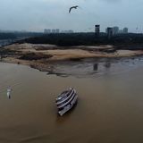 Dass diese Rückkopplungen bestehen, ist nicht neu. Forscherinnen und Forscher warnen bereits seit mehr als einem Jahrzehnt vor einem solchen Kipppunkt. Forscher des Potsdam-Instituts für Klimafolgenforschung und der Arktischen Universität Norwegen haben nun in ihrer Studie anhand realer Wetterdaten jedoch Anzeichen dafür gefunden, dass dieser Kipppunkt aufgrund der abnehmenden Niederschläge näher rückt, wenn die Entwaldung in gleichem Maße weitergeht wie bisher. In ihrem Computermodell, das die Folgen einer weiteren Entwaldung berechnet, berücksichtigten sie auch die Auswirkungen des südamerikanischen Monsuns, der Feuchtigkeit vom Atlantik in das Amazonasgebiet bläst.