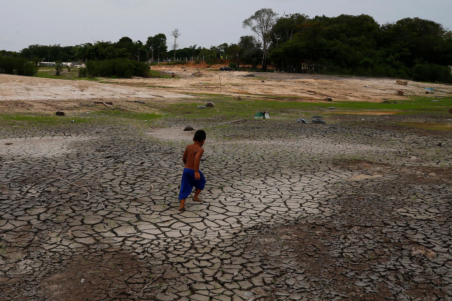 Dass die Trockenzeit in diesem Jahr so extreme Ausmaße annimmt, könnte zum Teil auf das Wetterphänomen El Niño zurückzuführen sein, das dafür sorgt, dass an der Südspitze Südamerikas mehr Regen fällt, während im Norden bei steigenden Temperaturen weniger Niederschlag vom Himmel kommt. Doch El Niño ist sicher nicht die einzige Ursache: Haupttreiber für Hitze und Dürre ist der Klimawandel. Forscherinnen und Forscher der World Weather Attribution haben errechnet, dass der menschengemachte Klimawandel die brasilianische Hitzewelle mindestens hundertmal wahrscheinlicher gemacht hat. Bereits in den vergangenen vier Jahrzehnten hat sich ein ähnlicher Trend abgezeichnet: Die Trockenzeit in der Region hat sich verlängert und die Dürreperioden haben sich verschärft.