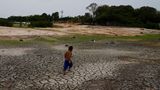 Dass die Trockenzeit in diesem Jahr so extreme Ausmaße annimmt, könnte zum Teil auf das Wetterphänomen El Niño zurückzuführen sein, das dafür sorgt, dass an der Südspitze Südamerikas mehr Regen fällt, während im Norden bei steigenden Temperaturen weniger Niederschlag vom Himmel kommt. Doch El Niño ist sicher nicht die einzige Ursache: Haupttreiber für Hitze und Dürre ist der Klimawandel. Forscherinnen und Forscher der World Weather Attribution haben errechnet, dass der menschengemachte Klimawandel die brasilianische Hitzewelle mindestens hundertmal wahrscheinlicher gemacht hat. Bereits in den vergangenen vier Jahrzehnten hat sich ein ähnlicher Trend abgezeichnet: Die Trockenzeit in der Region hat sich verlängert und die Dürreperioden haben sich verschärft.