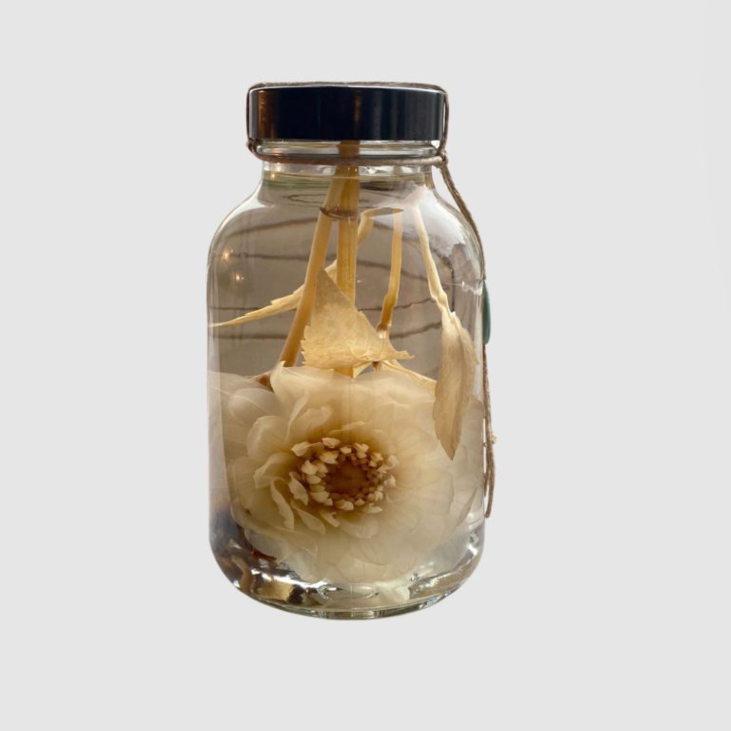 Konserviert in Formalin Unter den Besitztümern eine Dahlie aus Formalin. Sie zählt zu Barbaras Lieblingsdingen: "Sie ist so zart, und doch kann ihr nichts mehr etwas anhaben. Ich war nie in der Lage, an den Dingen oder den Menschen festzuhalten, die ich liebe. Aus heiterem Himmel entreißt mir das Leben sie einfach."