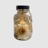 Unter den Besitztümern eine Dahlie aus Formalin. Sie zählt zu Barbaras Lieblingsdingen: "Sie ist so zart, und doch kann ihr nichts mehr etwas anhaben. Ich war nie in der Lage, an den Dingen oder den Menschen festzuhalten, die ich liebe. Aus heiterem Himmel entreißt mir das Leben sie einfach."