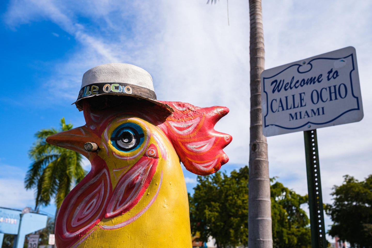 Kubanische Lebensart in Little Havana Eine Huhnfigur steht vor dem Straßenschild der Calle Ocho in Miami. Das Huhn hat einen Gut auf und eine Zigarre im Schnabel
