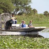 Ein Boot mit einem großen Propeller fährt durch die Mangrovenwälder