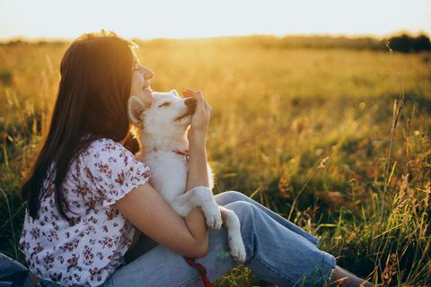 Frau und Hund sitzen bei Sonnenuntergang in einer Wiese im Sommer