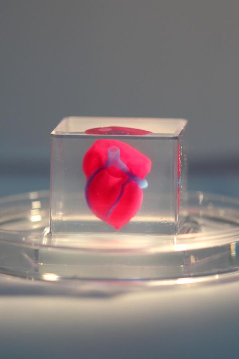 Forscher der Universität Tel Aviv haben mit einem 3-D-Drucker ein Miniherz aus menschlichem Gewerbe erzeugt