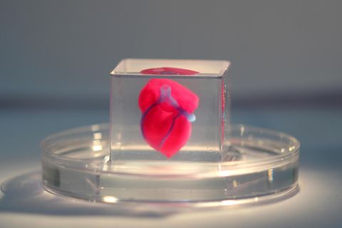 Forscher der Universität Tel Aviv haben mit einem 3-D-Drucker ein Miniherz aus menschlichem Gewerbe erzeugt