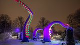 Bunte künstliche Tintenfisch-Tentakel ragen in einem winterlichen Park in den Nachthimmel