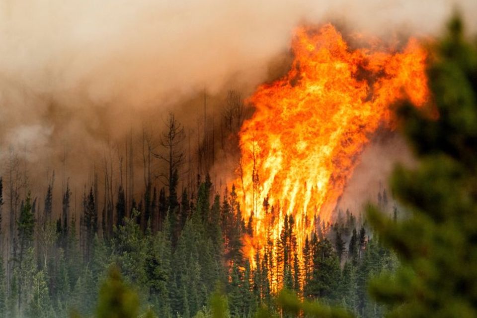 Bei Bränden – hier in der kanadischen Provinz British Columbia – wurden 2022 riesige Waldflächen zerstört