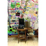 Plattenspieler (mit Kurbel) und ein altes Akkordeon auf dem Tisch.