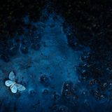 Was wie ein modernes Gemälde aussieht, ist eine tote Motte, die im Rondane-Nationalpark in Norwegen auf einem Bakterienfilm schwimmt – gesehen von Florian Smit aus Deutschland