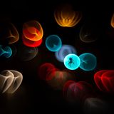 An einer Verkehrskreuzung in Ibbenbüren mit ihren Verkehrszeichen und Autolichtern gelang der Fotografin Simone Baumeister diese ungewöhnliche Aufnahme einer Brückenkreuzspinne (Larinioides sclopetarius)