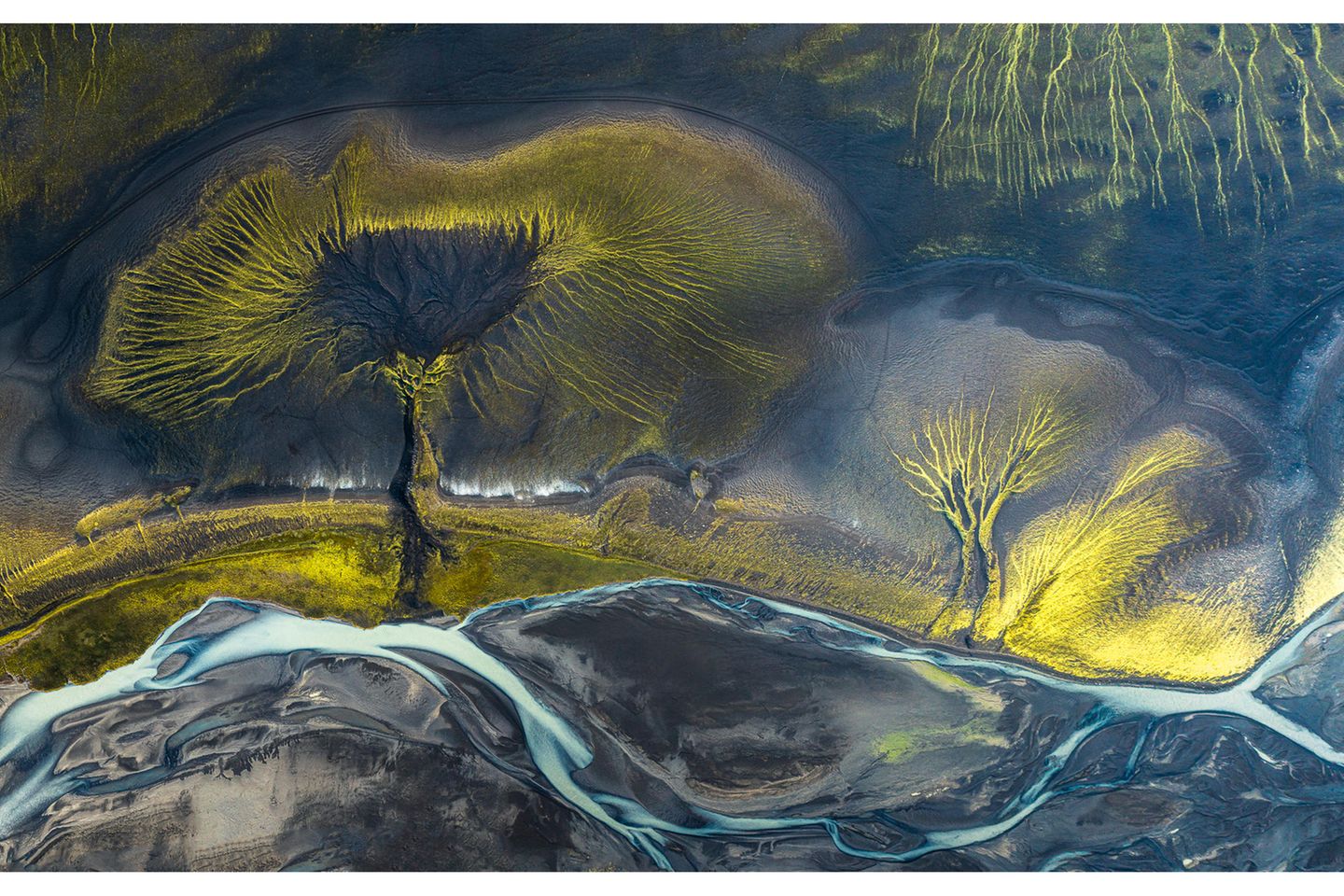 Gewinner "Gigapixel Image": "Lines of Nature" von Marek Biegalski Luftbild