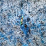 Ein Fischer navigiert sich den Weg in seinem Boot durch eine bewachsene Wasserlandschaft