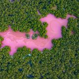 Luftbild einer Lagune