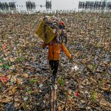 Ein Arbeiter trägt einen Korb voller Müll durch eine verschmutzte Landschaft