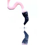 Voegel - Lobende Erwähnung          Jonathan Lhoir – Belgien      Feder und Tintenfass      Ich habe das Glück, nicht weit von der Camargue entfernt zu wohnen, die ein idealer Ort ist, um Rosaflamingos (Phoenicopterus roseus) zu fotografieren. Dieses Bild zeigt einen von ihnen bei der Nahrungssuche in einem schlammigen Teich. Ich machte das Bild am Ende des Tages bei leichter Bewölkung und wendete die Belichtungskompensation an, um einen High-Key-Effekt zu erzielen. Das Ergebnis erinnerte mich an einen mit Tinte beschmierten Pinsel.      Canon R5, 4.0/600mm, ISO 2500