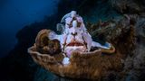 Unterwasserwelt - Lobende Erwähnung      Gabriel Barathieu – Frankreich      Angler auf dem Thron      Dieser Riesen-Anglerfisch (Antennarius commerson) hat sich auf einer Koralle positioniert, als wäre sie sein Thron. Anglerfische sind Lauerjäger. Gut getarnt warten sie, bis sich ein Fisch nähert und bewegen dann einen Flossenfortsatz, der an ein kleines Beutetier erinnert. Nähert sich ein neugieriger Fisch, verschwindet er im riesigen Schlund des Anglerfisches. Das Exemplar auf diesem Foto wirkt eher auffällig als gut getarnt. Aber vielleicht gilt das nicht für die kleinen Fische, die seine Lieblingsbeute darstellen.      Canon EOS R5, 2.8/15mm Fisheye, ISO 100, Seacam UW-Gehäuse, Seacam UW-Blitz