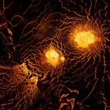 Halbinsel Reykjanes (Island): Die wirbelartigen Strukturen auf diesem Bild entstanden, als Lava aus einem Riss im alten Lavafeld strömte, berichtet der Fotograf Joel Delmas. "Die größten Schwierigkeiten bestanden darin, die gleißenden Zentren der Wirbel nicht zu überbelichten und die Drohne so hoch über der Lava zu halten, dass sie nicht überhitzt und abstürzt"