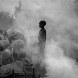 Ein Kind steht zwischen Tieren im Nebel