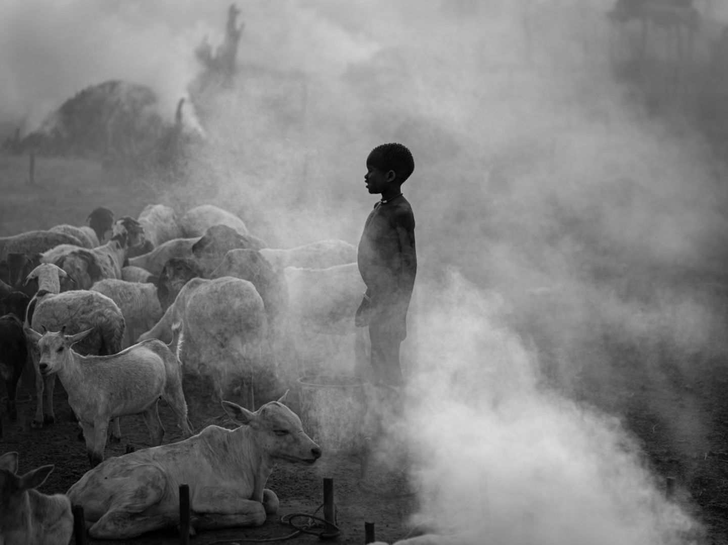 Ein Kind steht zwischen Tieren im Nebel