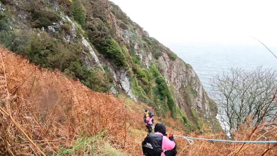 An Seilen hangelten sich die Tierschützer nach unten in die Bucht, die Schlaufen dienten als Halt für Hände und Füße. An einer Stelle fiel die Wand drei Meter tief ab