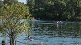 Tische und Stühle am Wasser der Alten Donau, darin Schwimmer.