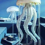 Zwei überdimensionierte Quallen aus Glas im Ausstellungsraum.