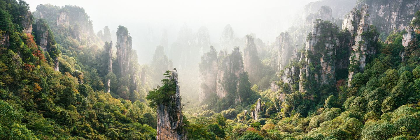 Als wollten sie durch das Licht schreiten, wachen steinerne Säulen über den Wald des chinesischen Nationalparks Zhangjiajie. Legenden erzählen, es seien die Soldaten des Herrschers Xiang Wang Tianzi, der sich gegen die chinesische Zentralmacht auflehnte. Die Formation entstand, indem Wasser das Gestein um die harten Quarzsäulen herum abtrug