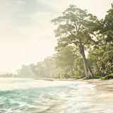 Nur zwei Stunden braucht es, um die indische Andamaneninsel Shaheed Dweep zu Fuß zu umrunden. Die Einwohner bauen meist Gemüse an, das sie auf den Nachbarinseln verkaufen. Noch besuchen vergleichsweise wenige Touristen die Insel mit ihren tropischen Traumstränden