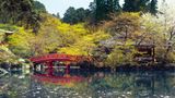 Der japanische Frühling mit seiner Kirschblüte ist einer der schönsten der Welt. Im Daigoji-Heiligtum am Fuß des Berges Daigo Yama leuchten die frischen Blätter und die buddhistische Tempelarchitektur der warmen Jahreszeit entgegen. Ein Ort der Ruhe, nur wenige Kilometer vom Zentrum der Kaiserstadt Kyoto entfernt. Auf drei Seiten umfassen Bergketten die Stadt und schützen Kyoto so vor Taifunen