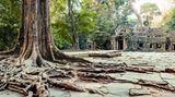 Erfolgreiche Landwirtschaft machte die Könige von Angkor einst reich und mächtig. Den Göttern errichteten sie weitläufige buddhistisch-hinduistische Tempelanlagen, wie in Ta Prohm, Kambodscha. Zwei Kilometer von Angkor Wat entfernt dürfen sich Würgefeigen und Tetrameles-Bäume hier fast ungestört zurückholen, was die Menschen von Angkor einst dem Dschungel abgetrotzt haben